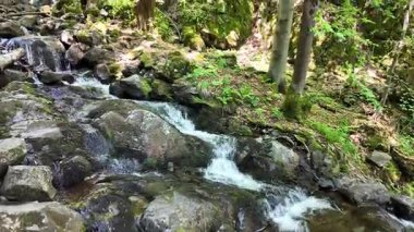 Bulgaristan 'ın Vitosha Dağı' nın Muhteşem Bahar Panoraması Boyana Şelalesi, düzenli