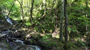 Bulgaristan 'ın Vitosha Dağı' nın Muhteşem Bahar Panoraması Boyana Şelalesi, düzenli