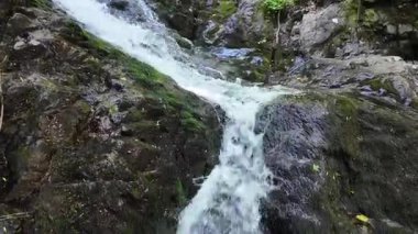 Bulgaristan 'ın Vitosha Dağı' nın Muhteşem Bahar Panoraması Boyana Şelalesi, düzenli