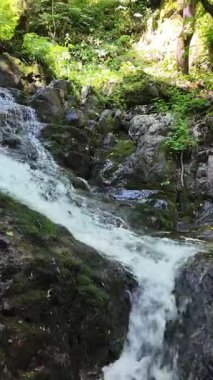 Bulgaristan 'ın Vitosha Dağı' nın Muhteşem Bahar Panoraması Boyana Şelalesi, düzenli