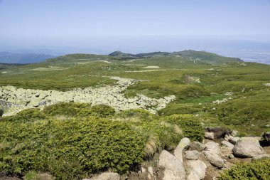 Bulgaristan 'ın Cherni Vrah kenti yakınlarındaki Vitosha Dağı' nın Bahar Manzarası