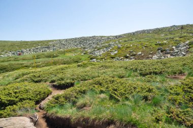 Bulgaristan 'ın Cherni Vrah kenti yakınlarındaki Vitosha Dağı' nın Bahar Manzarası