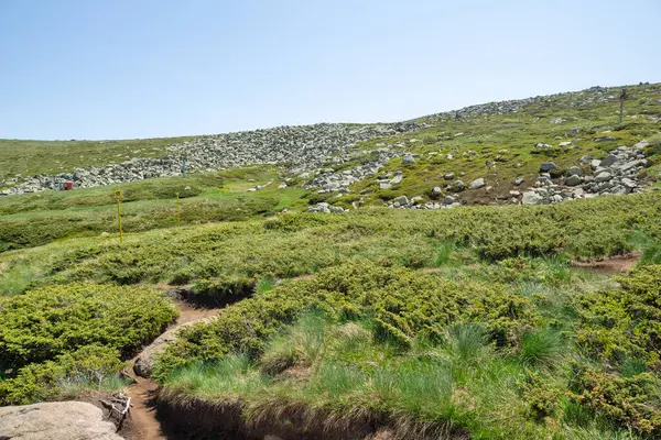 Bulgaristan 'ın Cherni Vrah kenti yakınlarındaki Vitosha Dağı' nın Bahar Manzarası