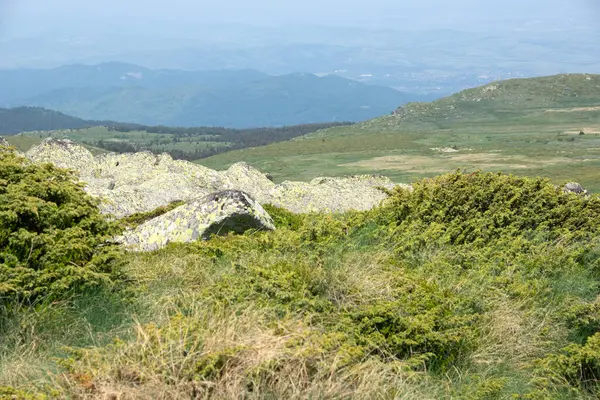 Bulgaristan 'ın Cherni Vrah kenti yakınlarındaki Vitosha Dağı' nın Bahar Manzarası