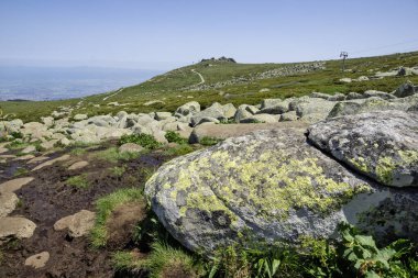 Bulgaristan 'ın Cherni Vrah kenti yakınlarındaki Vitosha Dağı' nın Bahar Manzarası