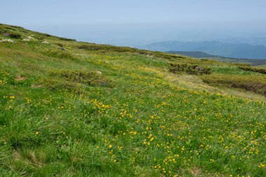 Bulgaristan 'ın Cherni Vrah kenti yakınlarındaki Vitosha Dağı' nın Bahar Manzarası
