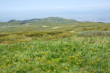 Bulgaristan 'ın Cherni Vrah kenti yakınlarındaki Vitosha Dağı' nın Bahar Manzarası