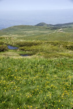 Bulgaristan 'ın Cherni Vrah kenti yakınlarındaki Vitosha Dağı' nın Bahar Manzarası