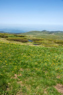 Bulgaristan 'ın Cherni Vrah kenti yakınlarındaki Vitosha Dağı' nın Bahar Manzarası