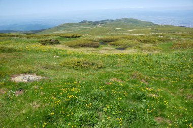 Bulgaristan 'ın Cherni Vrah kenti yakınlarındaki Vitosha Dağı' nın Bahar Manzarası