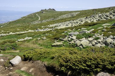 Bulgaristan 'ın Cherni Vrah kenti yakınlarındaki Vitosha Dağı' nın Bahar Manzarası