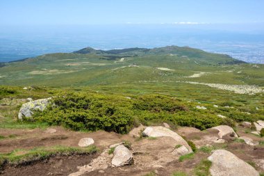 Bulgaristan 'ın Cherni Vrah kenti yakınlarındaki Vitosha Dağı' nın Bahar Manzarası