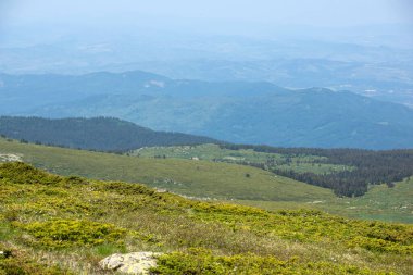 Bulgaristan 'ın Cherni Vrah kenti yakınlarındaki Vitosha Dağı' nın Bahar Manzarası