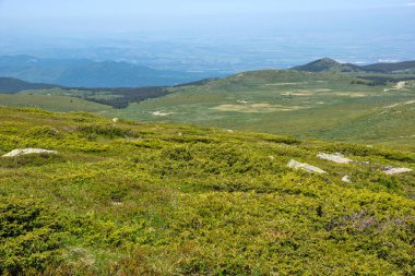 Bulgaristan 'ın Cherni Vrah kenti yakınlarındaki Vitosha Dağı' nın Bahar Manzarası
