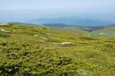 Bulgaristan 'ın Cherni Vrah kenti yakınlarındaki Vitosha Dağı' nın Bahar Manzarası