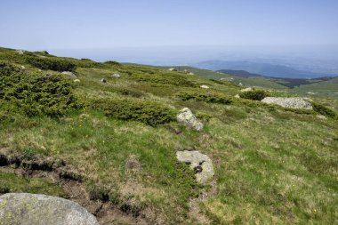 Bulgaristan 'ın Cherni Vrah kenti yakınlarındaki Vitosha Dağı' nın Bahar Manzarası