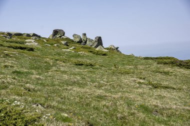 Bulgaristan 'ın Cherni Vrah kenti yakınlarındaki Vitosha Dağı' nın Bahar Manzarası