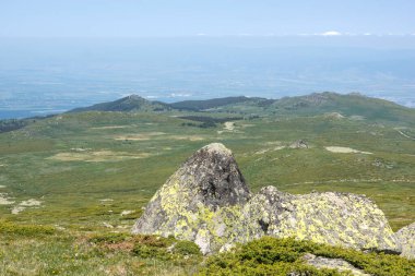 Bulgaristan 'ın Cherni Vrah kenti yakınlarındaki Vitosha Dağı' nın Bahar Manzarası