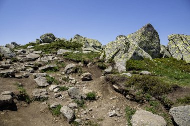 Bulgaristan 'ın Cherni Vrah kenti yakınlarındaki Vitosha Dağı' nın Bahar Manzarası