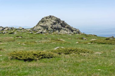 Bulgaristan 'ın Cherni Vrah kenti yakınlarındaki Vitosha Dağı' nın Bahar Manzarası