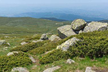 Bulgaristan 'ın Cherni Vrah kenti yakınlarındaki Vitosha Dağı' nın Bahar Manzarası