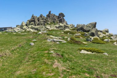 Bulgaristan 'ın Cherni Vrah kenti yakınlarındaki Vitosha Dağı' nın Bahar Manzarası