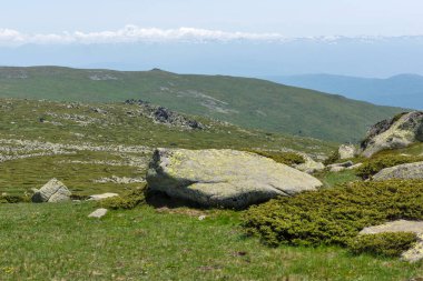 Bulgaristan 'ın Cherni Vrah kenti yakınlarındaki Vitosha Dağı' nın Bahar Manzarası
