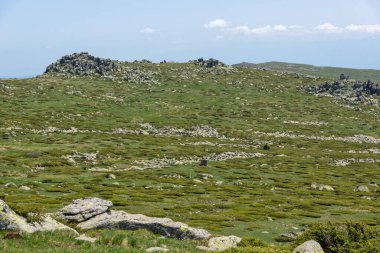 Bulgaristan 'ın Cherni Vrah kenti yakınlarındaki Vitosha Dağı' nın Bahar Manzarası