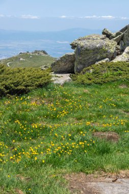 Bulgaristan 'ın Cherni Vrah kenti yakınlarındaki Vitosha Dağı' nın Bahar Manzarası