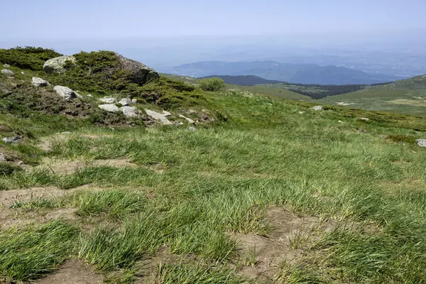 Bulgaristan 'ın Cherni Vrah kenti yakınlarındaki Vitosha Dağı' nın Bahar Manzarası
