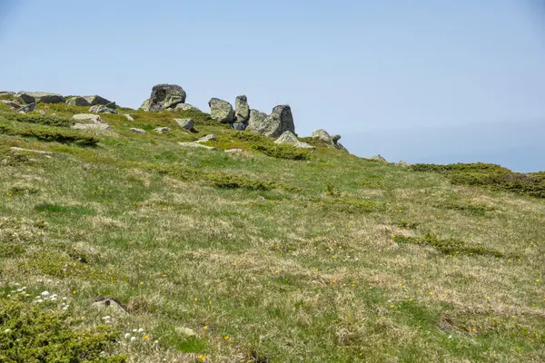 Bulgaristan 'ın Cherni Vrah kenti yakınlarındaki Vitosha Dağı' nın Bahar Manzarası