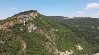Bulgaristan 'ın Varna bölgesindeki Tsonevo Reservoir Havacılık Manzarası