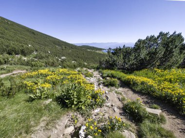 Bulgaristan 'ın Bezbog Gölü yakınlarındaki Pirin Dağı' nın İnanılmaz Yaz Manzarası