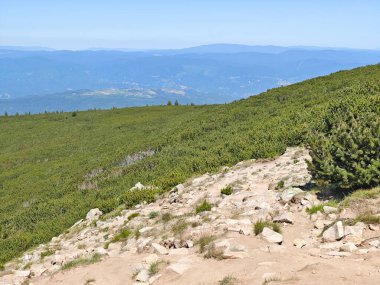 Bulgaristan 'ın Bezbog Gölü yakınlarındaki Pirin Dağı' nın İnanılmaz Yaz Manzarası