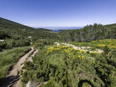 Bulgaristan 'ın Bezbog Gölü yakınlarındaki Pirin Dağı' nın İnanılmaz Yaz Manzarası