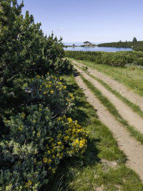 Bulgaristan 'ın Bezbog Gölü yakınlarındaki Pirin Dağı' nın İnanılmaz Yaz Manzarası