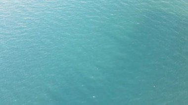 Bulgaristan 'ın Dobrich Bölgesi' ndeki Tyulenovo köyü yakınlarındaki Karadeniz kıyısının hava manzarası