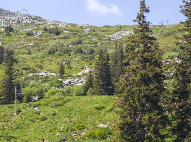 Bulgaristan 'ın Vitosha Dağı' nın Muhteşem Bahar Panoraması