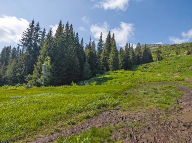 Bulgaristan 'ın Vitosha Dağı' nın Muhteşem Bahar Panoraması