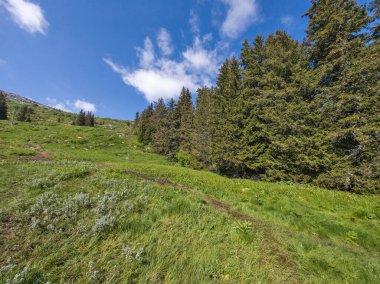 Bulgaristan 'ın Vitosha Dağı' nın Muhteşem Bahar Panoraması