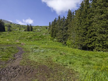 Bulgaristan 'ın Vitosha Dağı' nın Muhteşem Bahar Panoraması