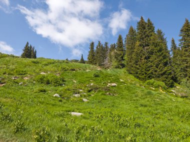 Bulgaristan 'ın Vitosha Dağı' nın Muhteşem Bahar Panoraması