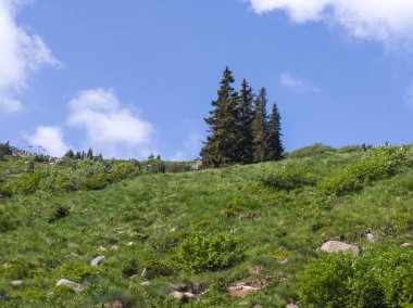 Bulgaristan 'ın Vitosha Dağı' nın Muhteşem Bahar Panoraması