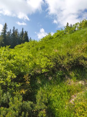 Bulgaristan 'ın Vitosha Dağı' nın Muhteşem Bahar Panoraması