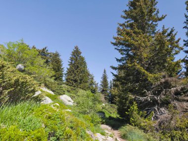 Bulgaristan 'ın Vitosha Dağı' nın Muhteşem Bahar Panoraması