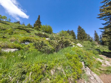 Bulgaristan 'ın Vitosha Dağı' nın Muhteşem Bahar Panoraması