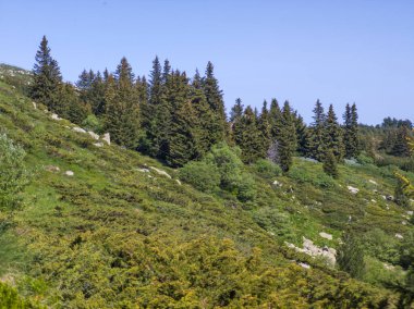 Bulgaristan 'ın Vitosha Dağı' nın Muhteşem Bahar Panoraması