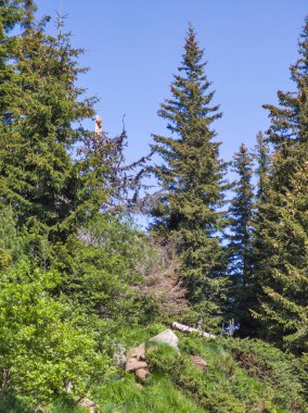 Bulgaristan 'ın Vitosha Dağı' nın Muhteşem Bahar Panoraması