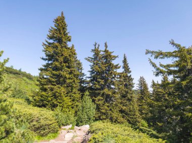 Bulgaristan 'ın Vitosha Dağı' nın Muhteşem Bahar Panoraması