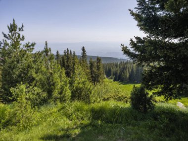 Bulgaristan 'ın Vitosha Dağı' nın Muhteşem Bahar Panoraması